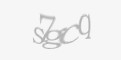 Säkerhetskod