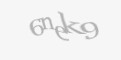 Säkerhetskod