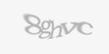 Säkerhetskod