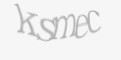 Säkerhetskod