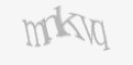 Säkerhetskod