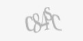 Säkerhetskod