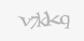 Säkerhetskod