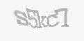 Säkerhetskod