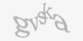 Säkerhetskod
