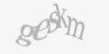Säkerhetskod