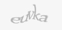 Säkerhetskod