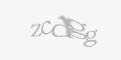 Säkerhetskod