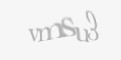 Säkerhetskod