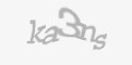 Säkerhetskod