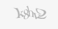 Säkerhetskod