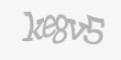 Säkerhetskod