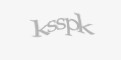 Säkerhetskod