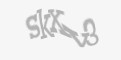 Säkerhetskod