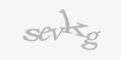 Säkerhetskod