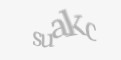 Säkerhetskod
