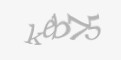 Säkerhetskod