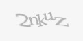 Säkerhetskod