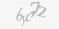 Säkerhetskod