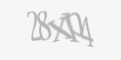 Säkerhetskod