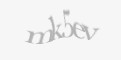 Säkerhetskod