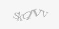 Säkerhetskod