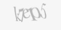 Säkerhetskod
