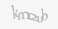 Säkerhetskod