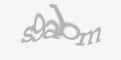 Säkerhetskod