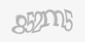 Säkerhetskod