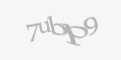 Säkerhetskod
