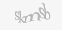 Säkerhetskod