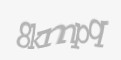 Säkerhetskod