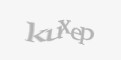Säkerhetskod