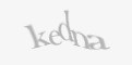 Säkerhetskod