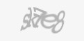 Säkerhetskod