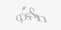 Säkerhetskod