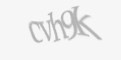 Säkerhetskod