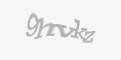 Säkerhetskod