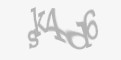 Säkerhetskod