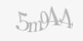 Säkerhetskod