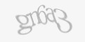 Säkerhetskod