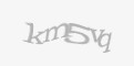 Säkerhetskod