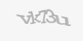 Säkerhetskod