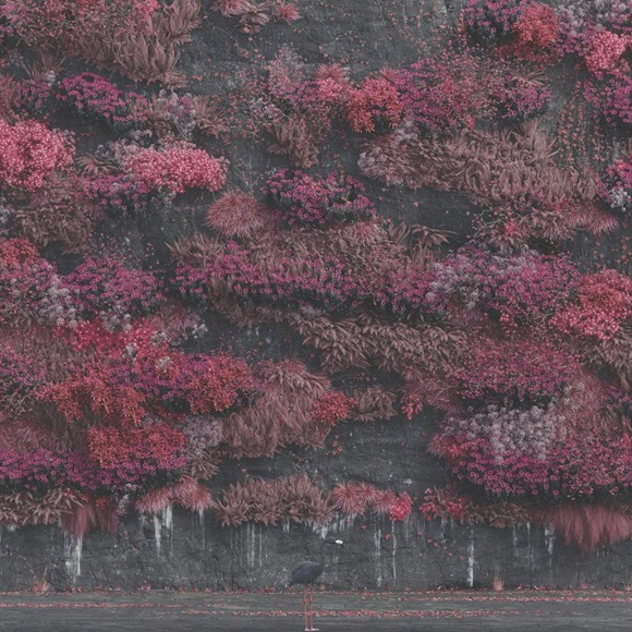 sleeptoken eveninarcadia